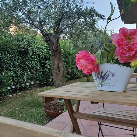 מאסקלוצ'יה Villa Martina מראה חיצוני תמונה